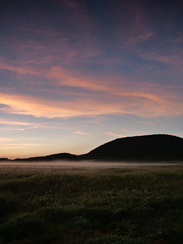 A beautiful sunrise over mist-covered grasslands in Jeju, South Korea showcases serene natural beauty.